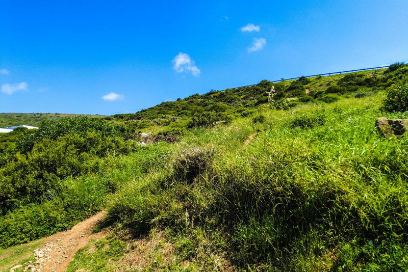 0 Bedroom Property for Sale in Diaz Industria Western Cape